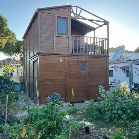 Casa De Madera De Sancti Petri Villa Chiclana de la Frontera Bagian luar foto