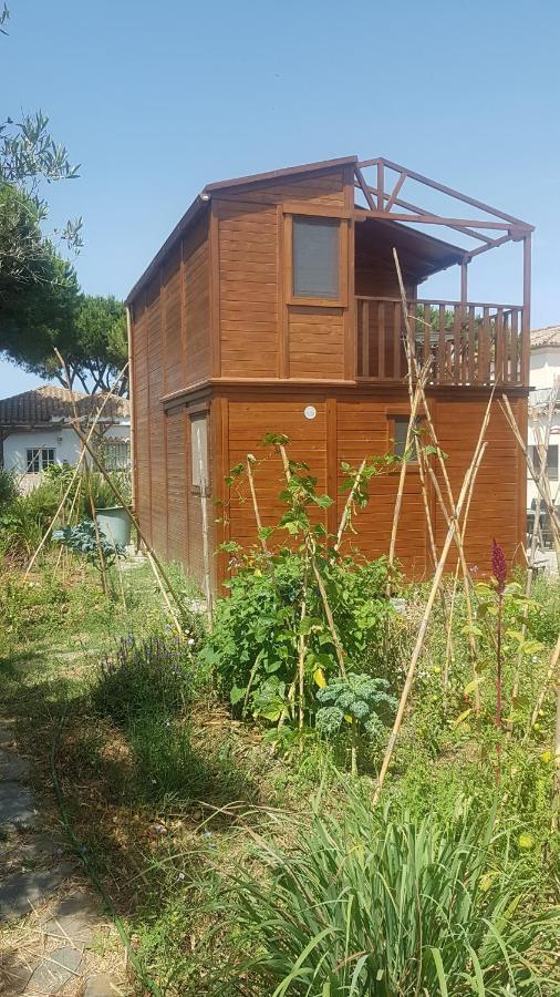 Casa De Madera De Sancti Petri Villa Chiclana de la Frontera Bagian luar foto